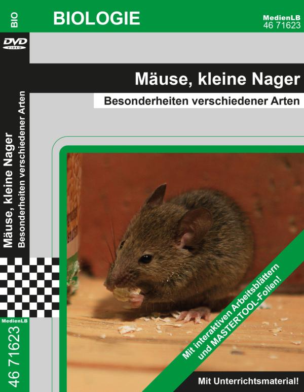 Flirten auf russisch mediathek